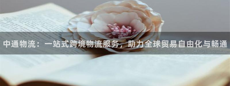 豪门国际预测加拿大：中通物流：一站式