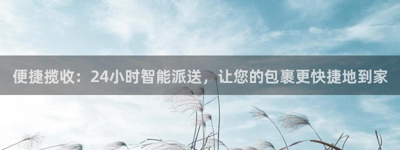 豪门国际预测加拿大师准：便捷揽收：24小时智能派送，让您的包