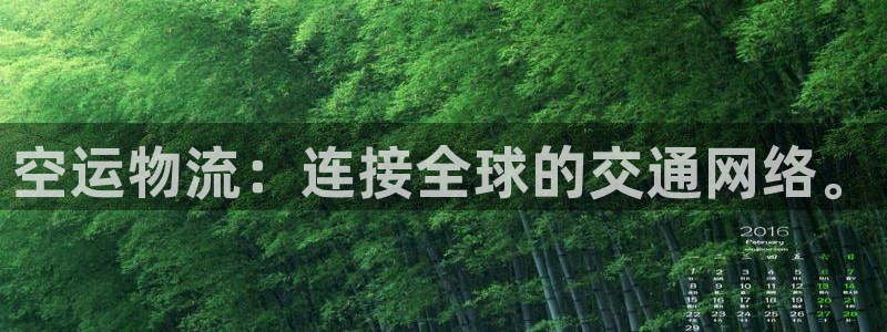 豪门国际软件堵什么反什么：空运物流：