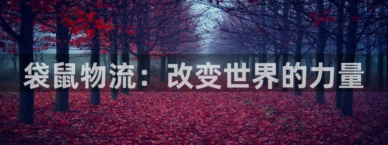 豪门国际推广链接是多少粉丝：袋鼠物流