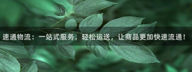 豪门国际分分28预测：速通物流：一站