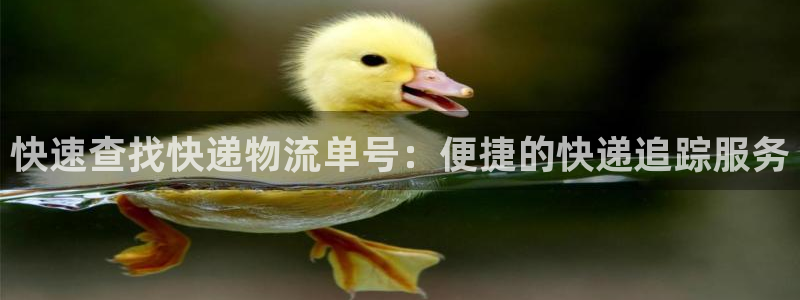 豪门国际反水怎么算：快速查找快递物流