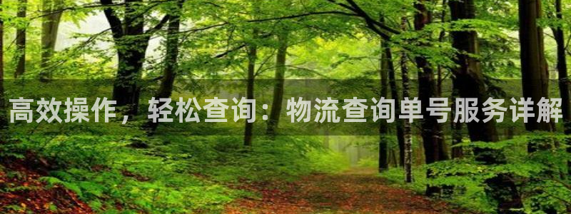 豪门国际官网下载加拿大：高效操作，轻