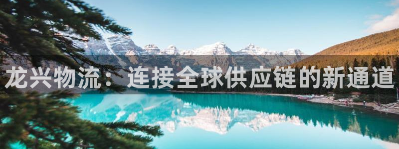 南宫豪门国际怎么注册：龙兴物流：连接