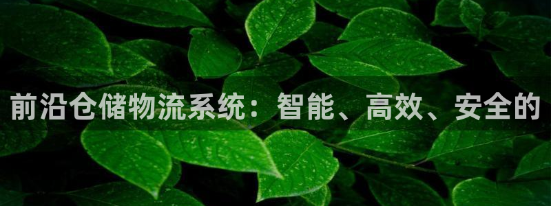 豪门国际忘记账号：前沿仓储物流系统：