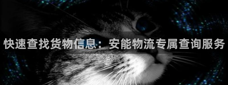 豪门国际加拿大官网：快速查找货物信息