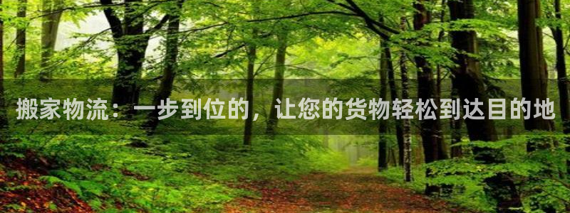 豪门国际官网网站：搬家物流：一步到位的，让您的货物轻松到达目