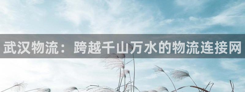 豪门国际初始密码在哪里修改的：武汉物