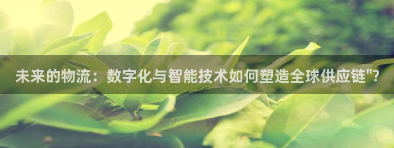 豪门国际游戏最新版：未来的物流：数字化与智能技术如何塑造全球