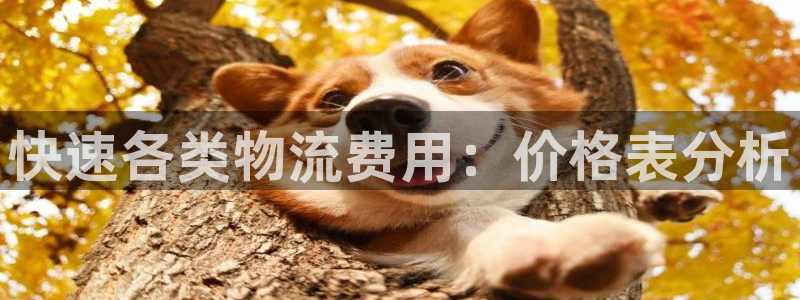 豪门国际注册流程：快速各类物流费用：