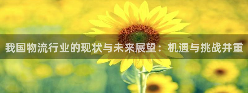 豪门国际客服一直不回消息怎么办：我国