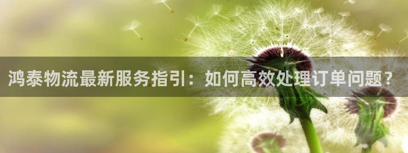 豪门国际圈助手：鸿泰物流最新服务指引