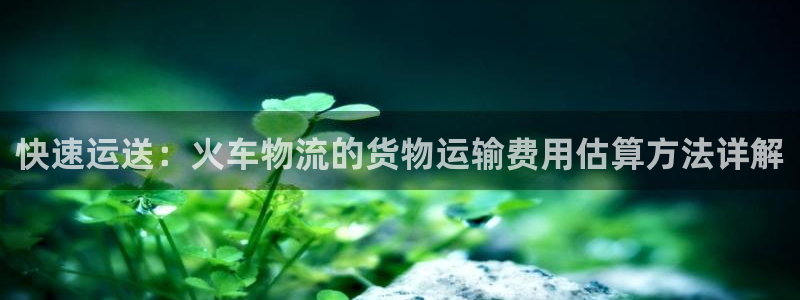 豪门国际怎么注册账号和密码：快速运送