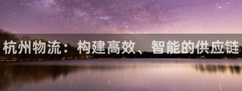 豪门国际预测：杭州物流：构建高效、智