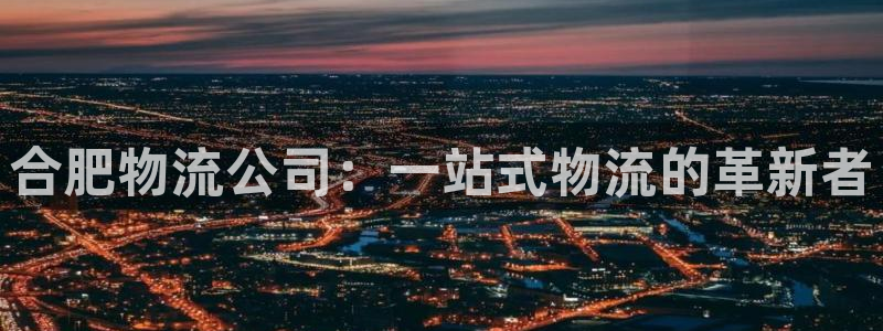豪门国际官方版正版：合肥物流公司：一