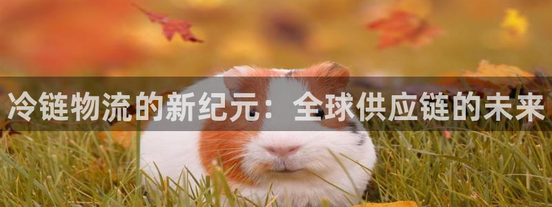 豪门国际官网版2024：冷链物流的新