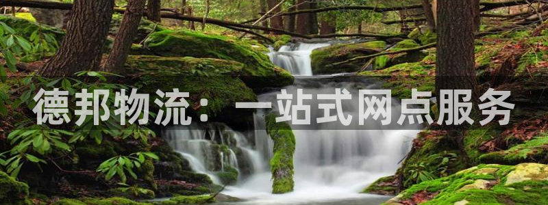 豪门国际取保：德邦物流：一站式网点服