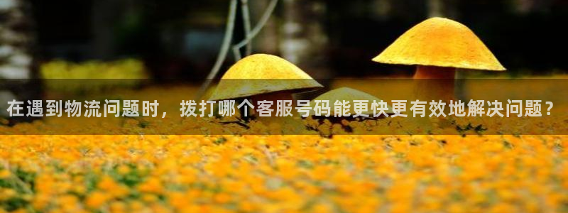 豪门国际的自行车:在遇到物流问题时,