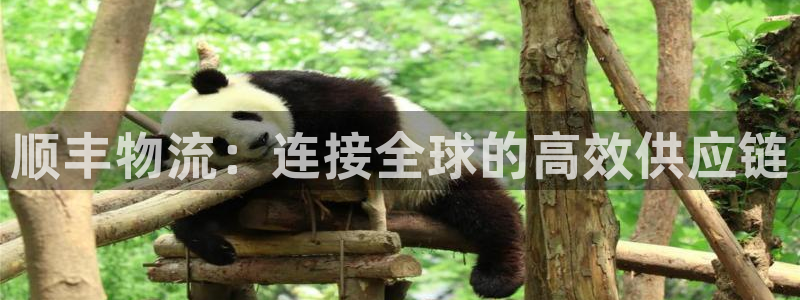 豪门国际不给提现