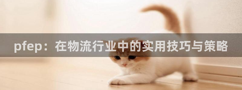 豪门国际下载链接是多少：pfep：在物流行业中的实用技巧与策