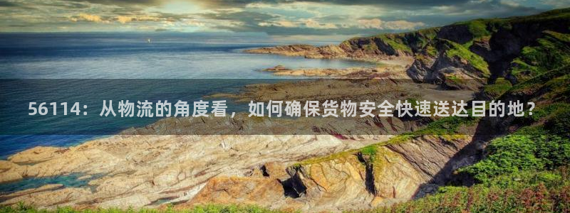 豪门国际免费充钱:56114:从物流