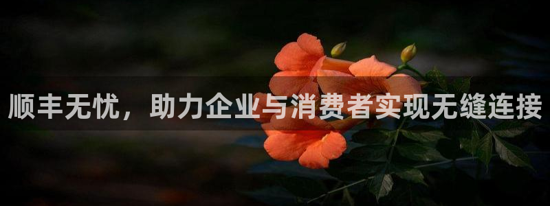 豪门国际怎么注册账号和密码：顺丰无忧