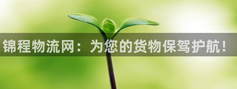 豪门国际口戒指是多大：锦程物流网：为您的货物保驾护航！