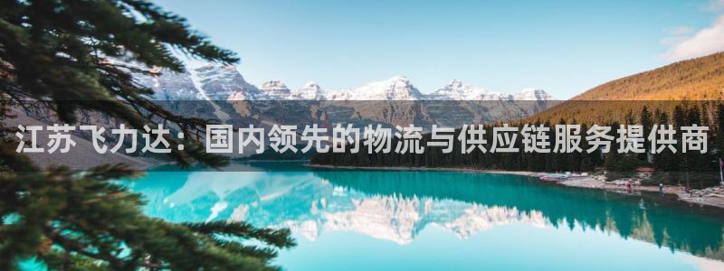 豪门国际最稳打法:江苏飞力达:国内领