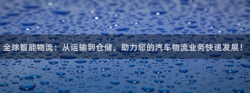 豪门国际加拿大28:全球智能物流:从