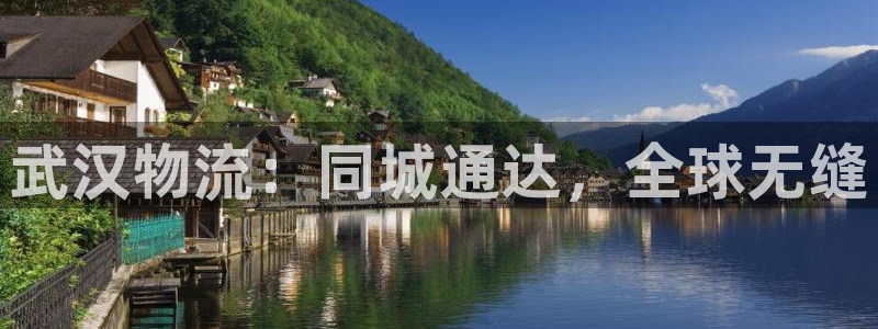 豪门国际口戒指是多大：武汉物流：同城