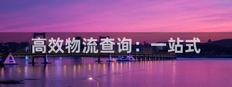 豪门国际违法吗：高效物流查询：一站式