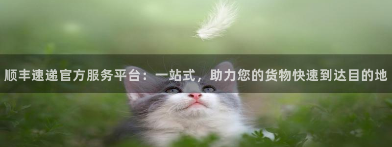 豪门国际防失联网址：顺丰速递官方服务