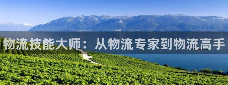 豪门国际初始资金密码是什么：物流技能