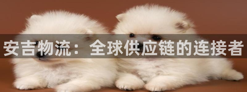 豪门国际娱乐官网网页入口：安吉物流：