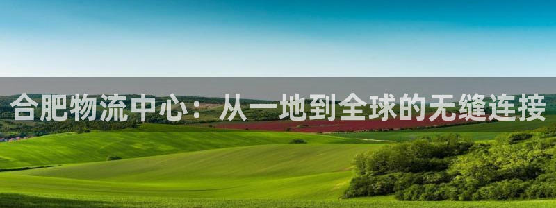 豪门国际大神预测：合肥物流中心：从一