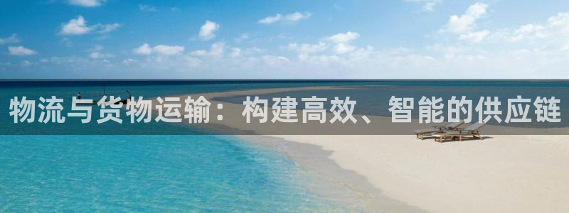 豪门国际官网下载加拿大：物流与货物运输：构建高效、智能的供应